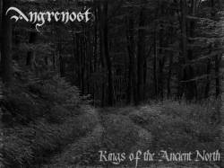 Angrenost (UK) : Kings of the Ancient North